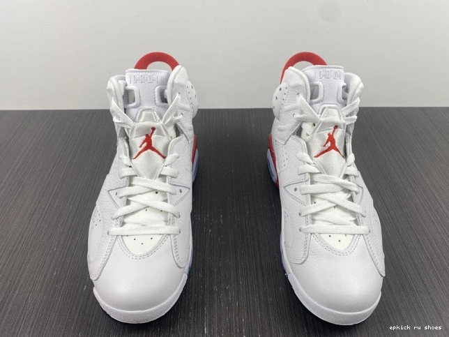 Rep 6 Retro CT8529-162 Jordan Hare 0723